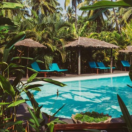 Devarya Wellness Beach Resort مورجيم المظهر الخارجي الصورة