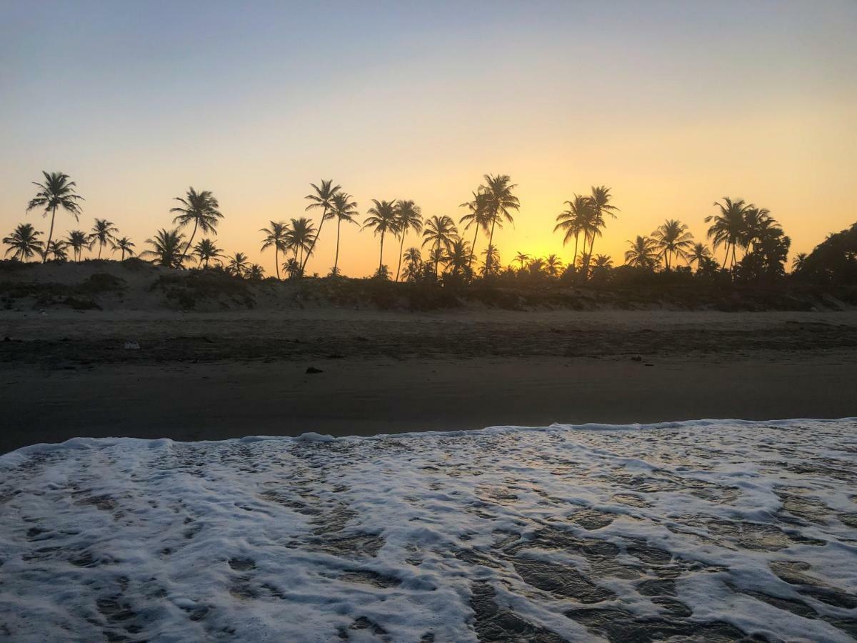Devarya Wellness Beach Resort مورجيم المظهر الخارجي الصورة