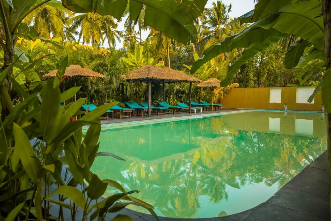 Devarya Wellness Beach Resort مورجيم المظهر الخارجي الصورة